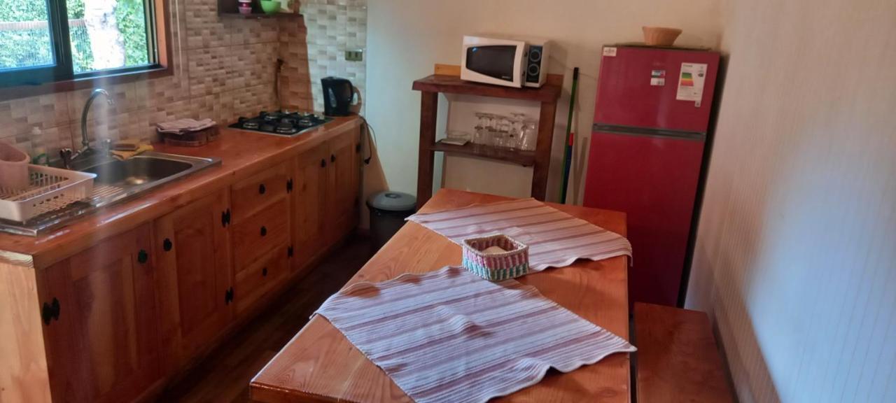 Cabanas Claro Holiday home Pucon